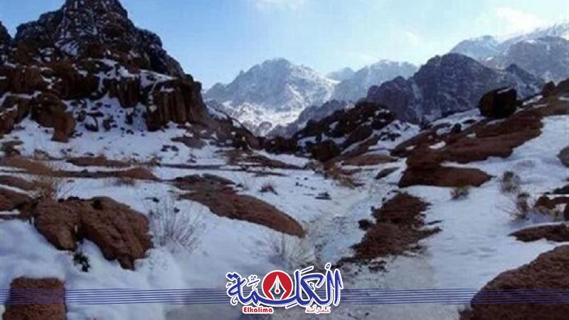 بوابة الكلمة