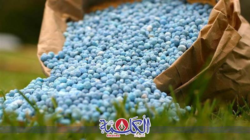 بوابة الكلمة