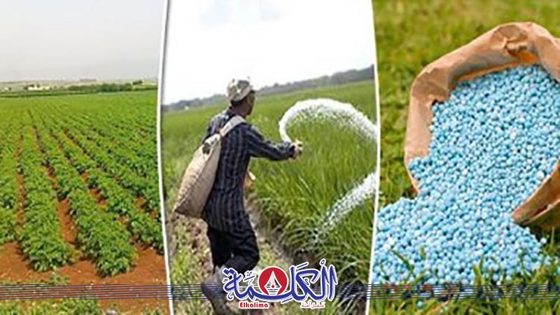 بوابة الكلمة