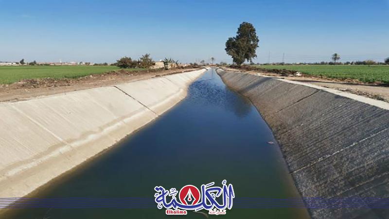 بوابة الكلمة