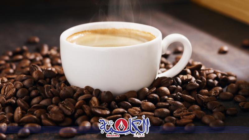 بوابة الكلمة