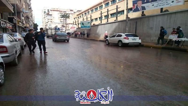 بوابة الكلمة