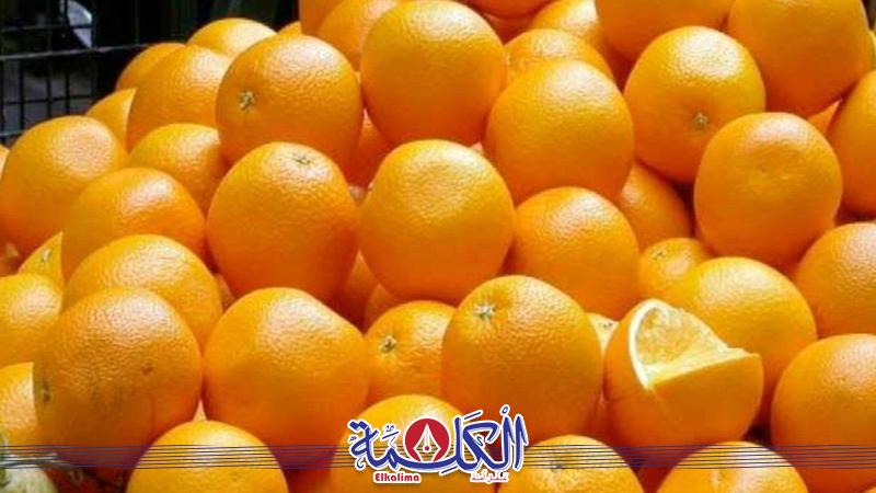 بوابة الكلمة