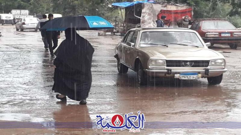 بوابة الكلمة