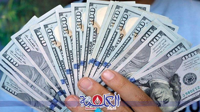 بوابة الكلمة