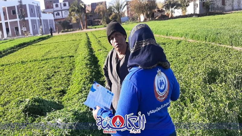 بوابة الكلمة