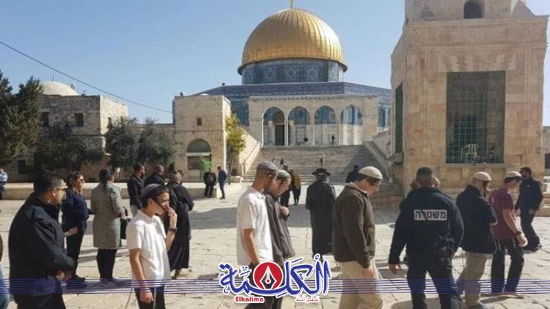 بوابة الكلمة