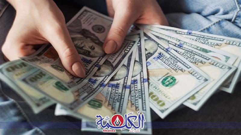 بوابة الكلمة