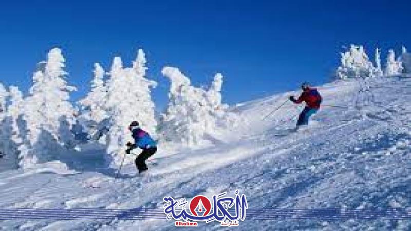 بوابة الكلمة