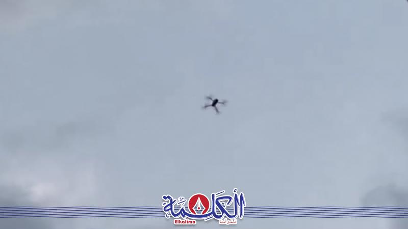 بوابة الكلمة