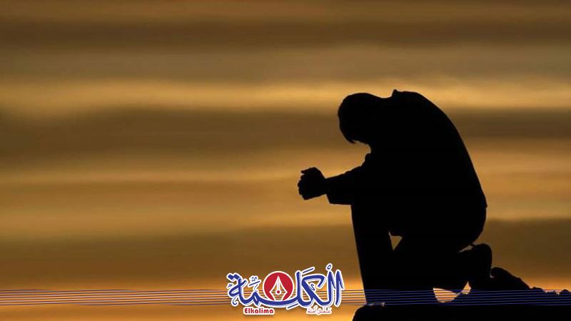 بوابة الكلمة