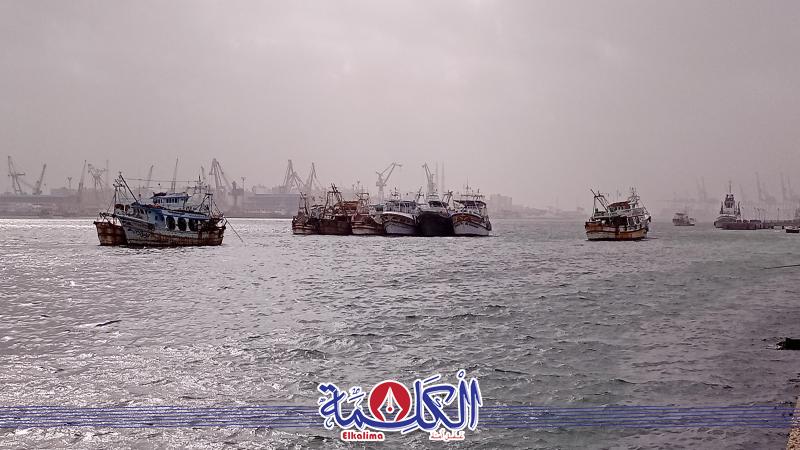 بوابة الكلمة
