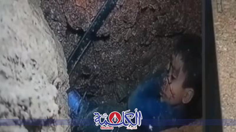 بوابة الكلمة