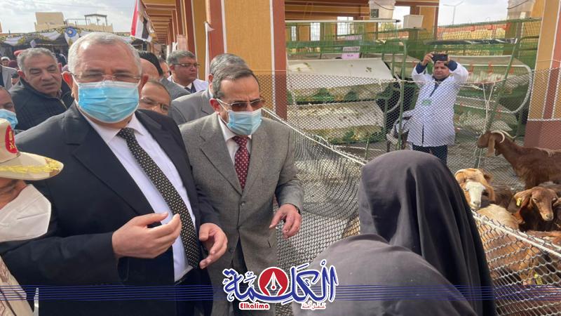 بوابة الكلمة