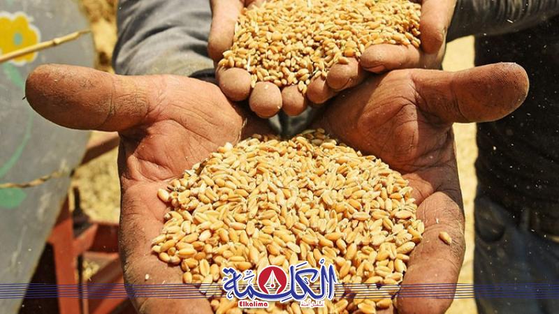 بوابة الكلمة