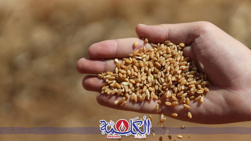 بوابة الكلمة