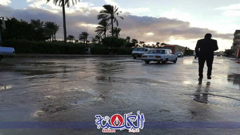 بوابة الكلمة
