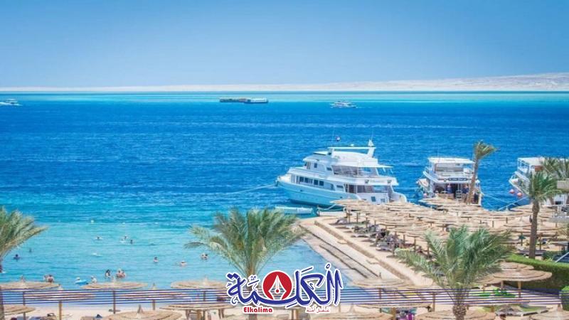 بوابة الكلمة
