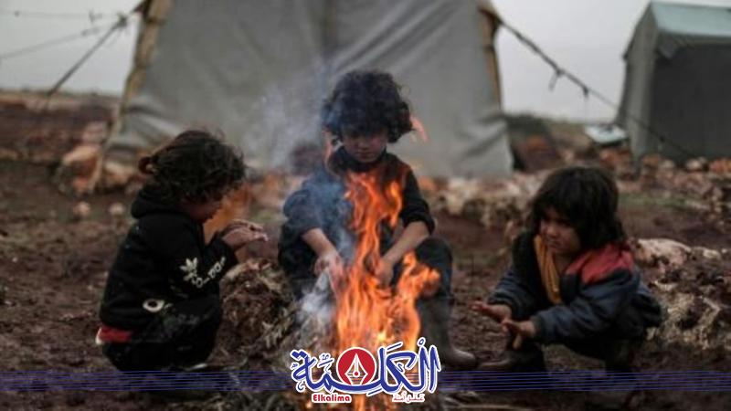 بوابة الكلمة