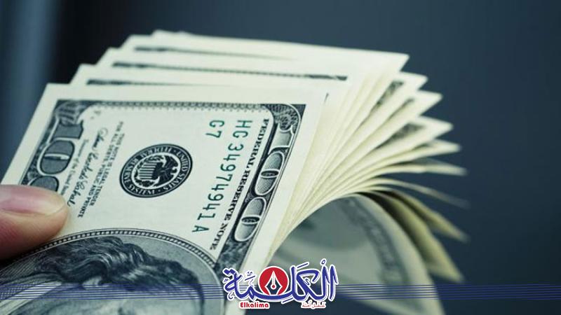 بوابة الكلمة