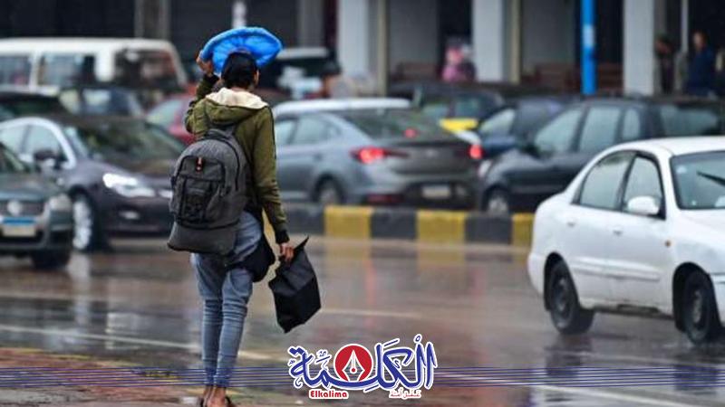 بوابة الكلمة