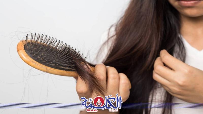 بوابة الكلمة