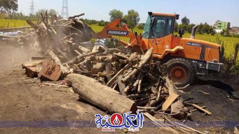بوابة الكلمة