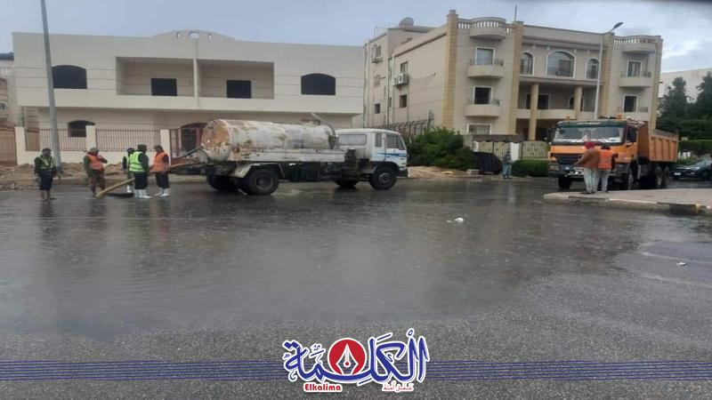 بوابة الكلمة