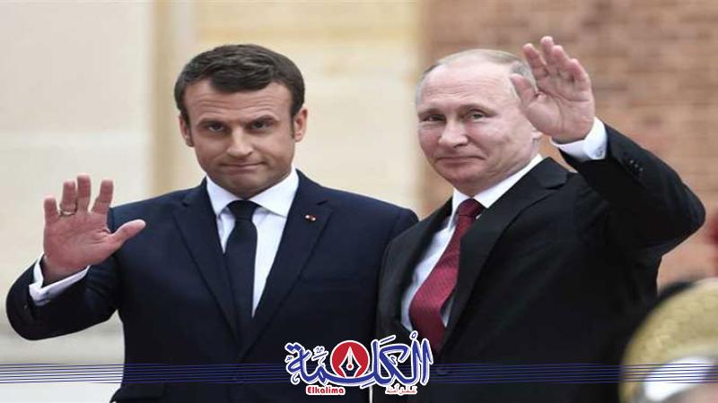 بوابة الكلمة