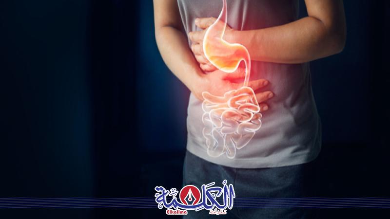 بوابة الكلمة
