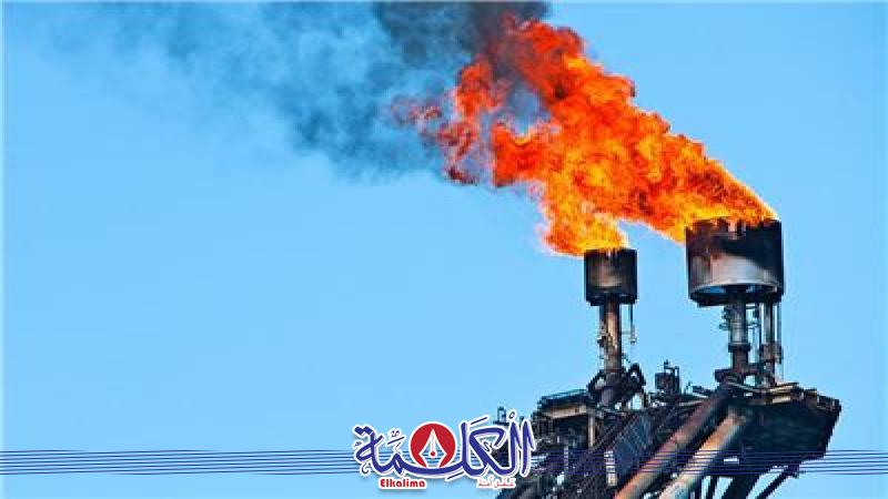 بوابة الكلمة