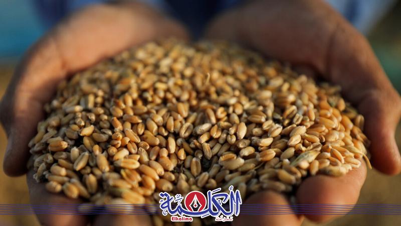 بوابة الكلمة