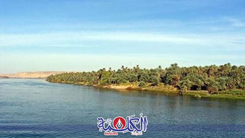 بوابة الكلمة