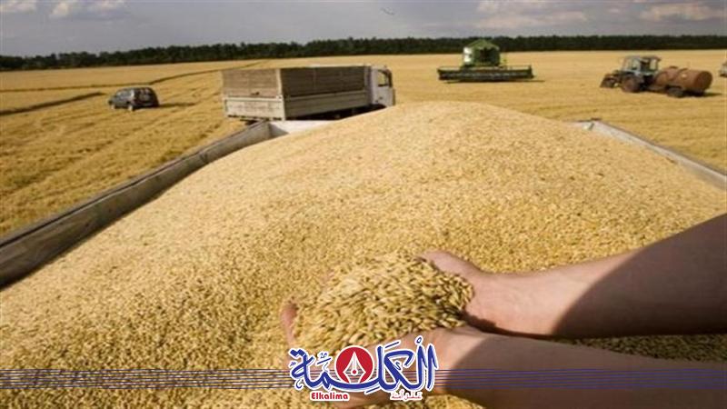 بوابة الكلمة