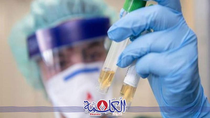 بوابة الكلمة