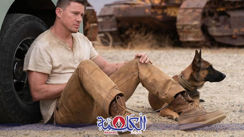 بوابة الكلمة