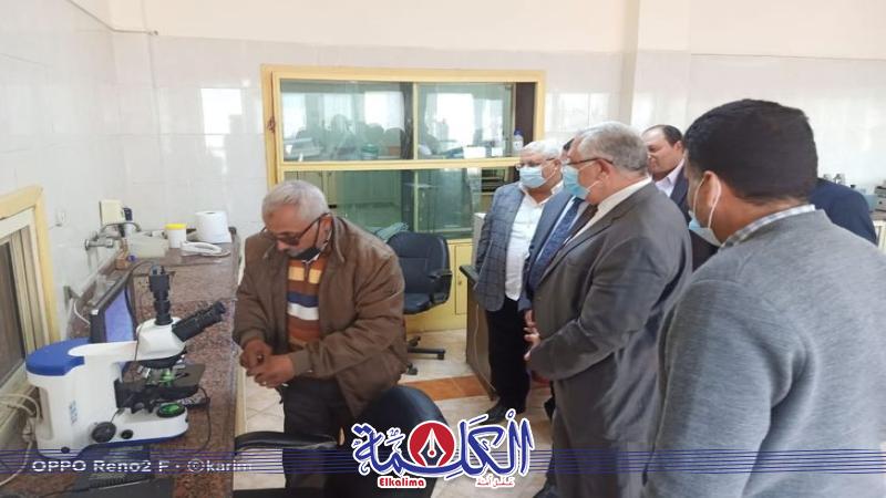 بوابة الكلمة