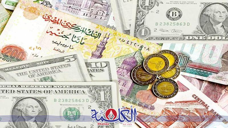 بوابة الكلمة