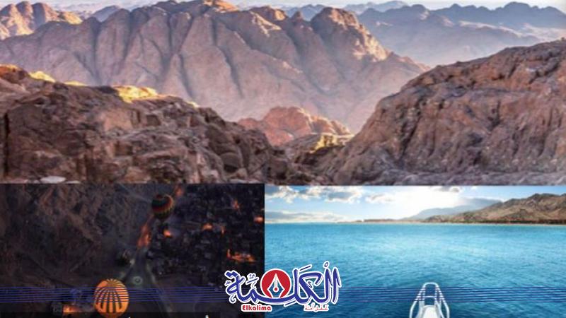 بوابة الكلمة