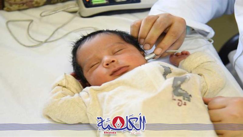بوابة الكلمة