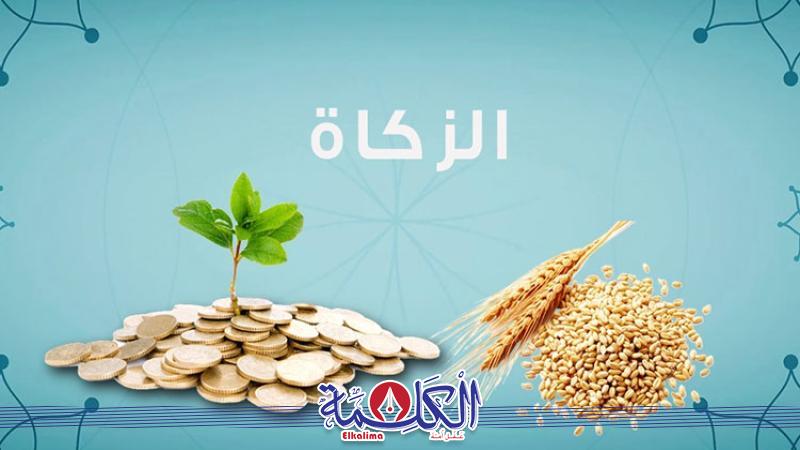 بوابة الكلمة