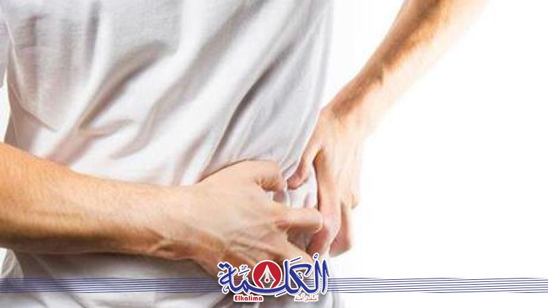 بوابة الكلمة