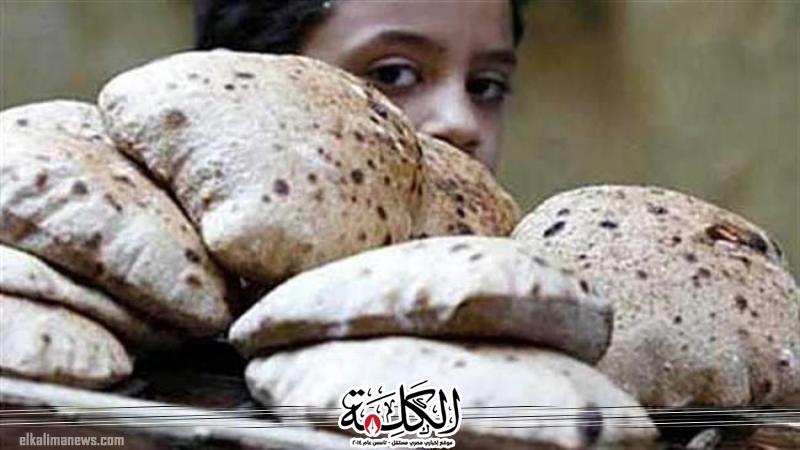 بوابة الكلمة