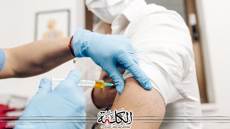 بوابة الكلمة