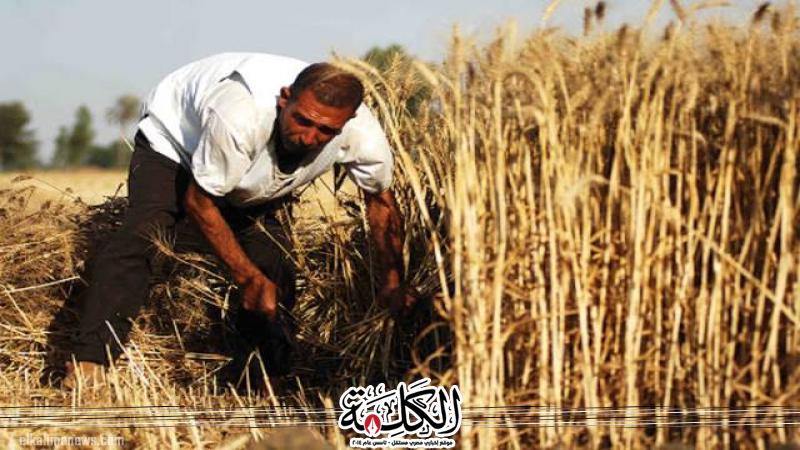 بوابة الكلمة