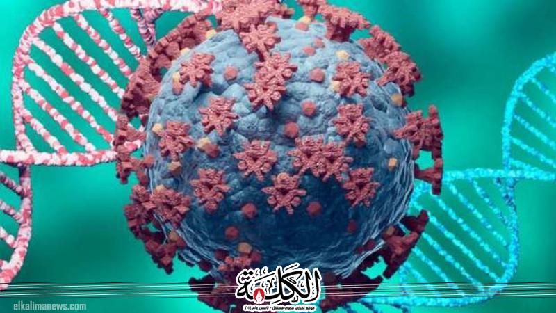 بوابة الكلمة