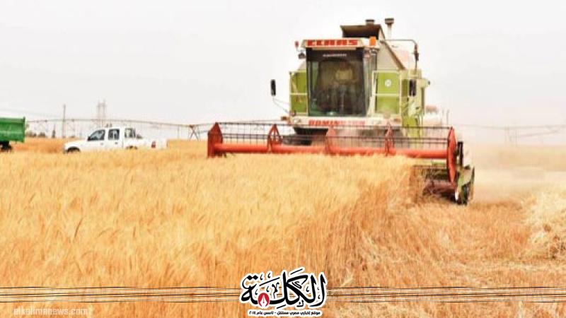 بوابة الكلمة