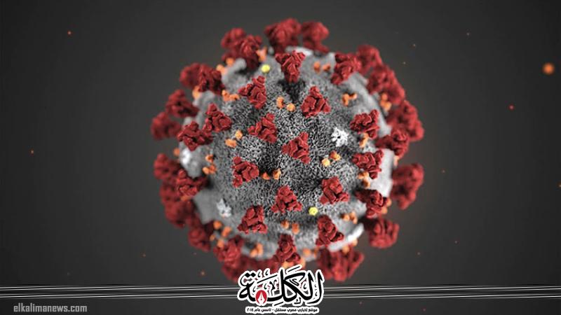 بوابة الكلمة