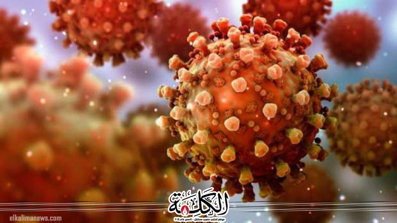 بوابة الكلمة