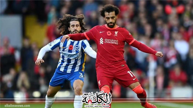 بوابة الكلمة